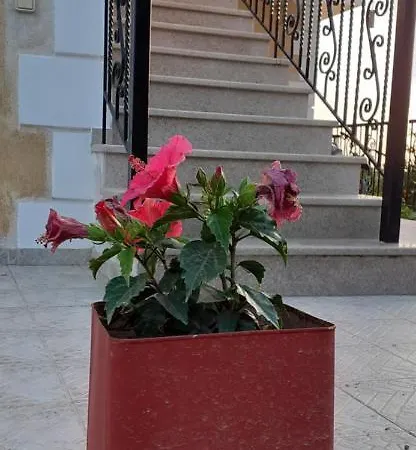 Mimi's Sunnyview House Apartment *