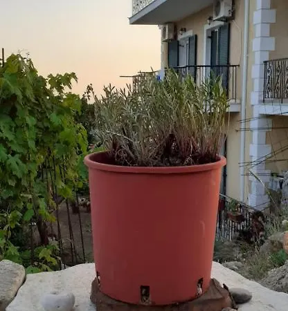 Mimi's Sunnyview House * Vlachata