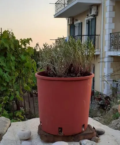 Mimi's Sunnyview House * Vlachata